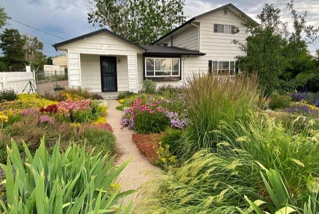Waterwise perennial garden
