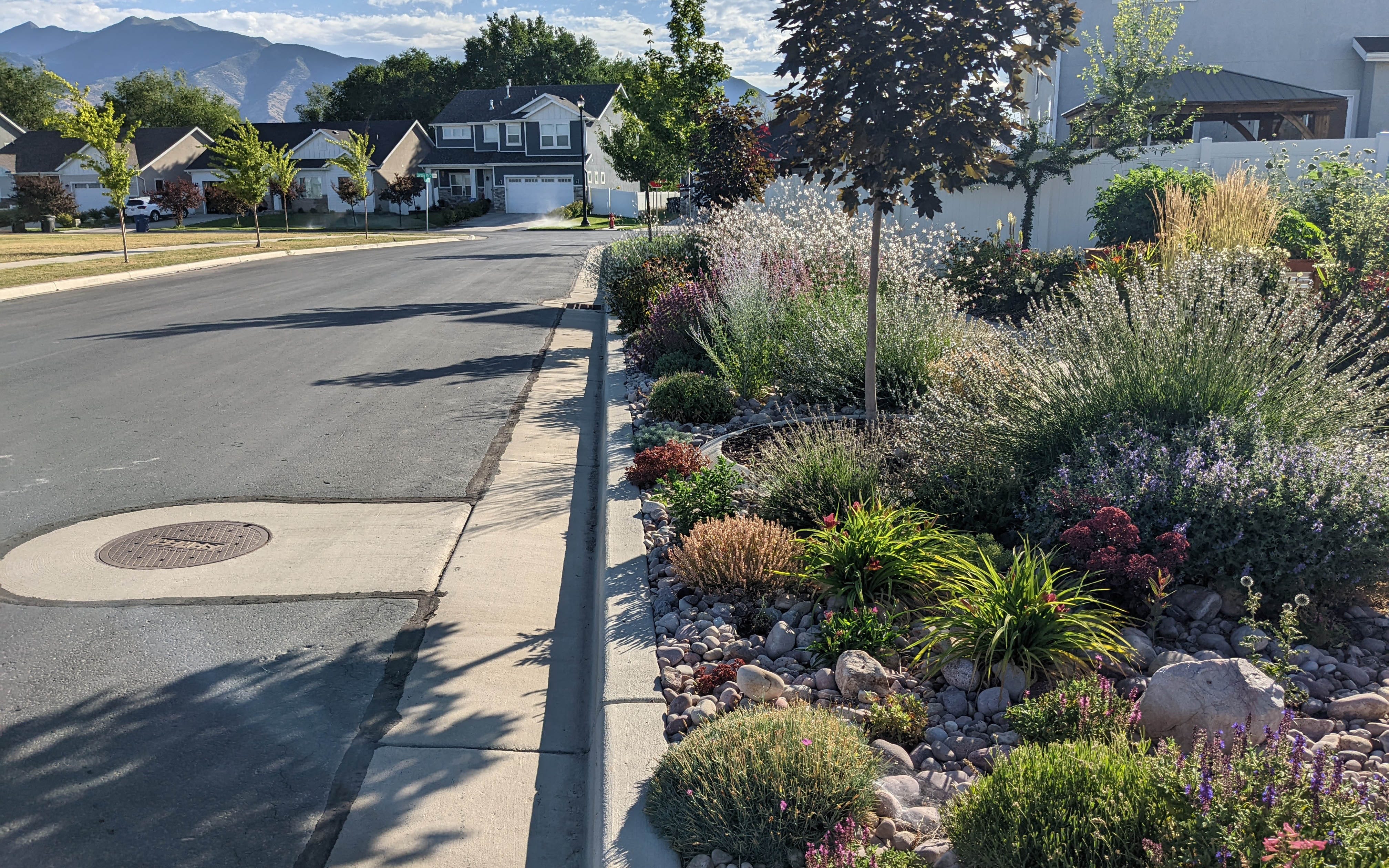 Waterwise Parkstrip Planting In Utah Inspired By Soft Colors