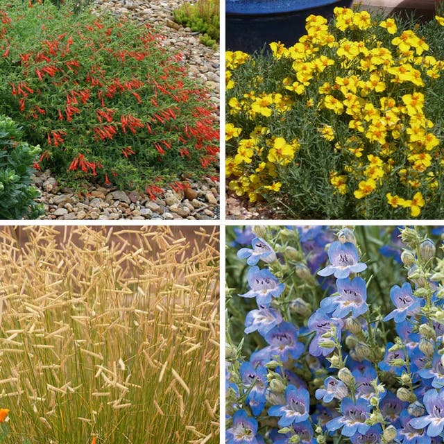 High Country Gardens Signature Collection