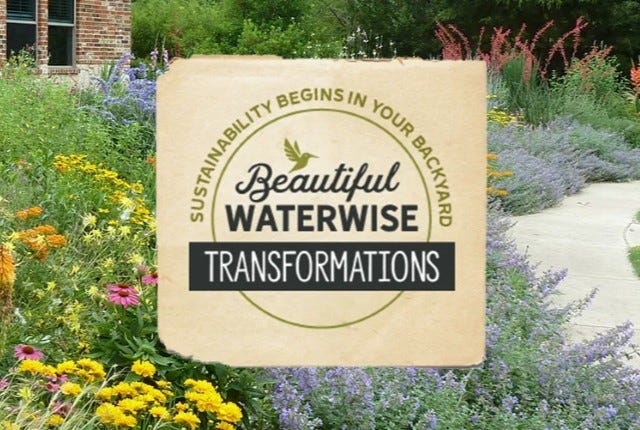 Yarrow (Achillea) and Russian Sage (Perovskia) are two favorite waterwise plants
